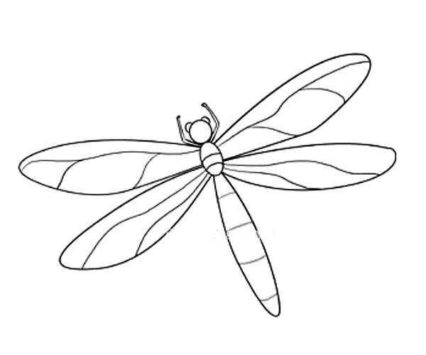 漂亮的绿蜻蜓简笔画
