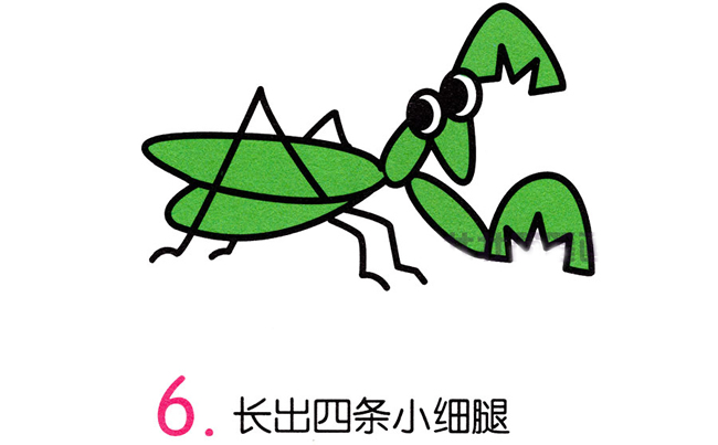绿色的螳螂简笔画步骤 绿色的螳螂简笔画步骤
