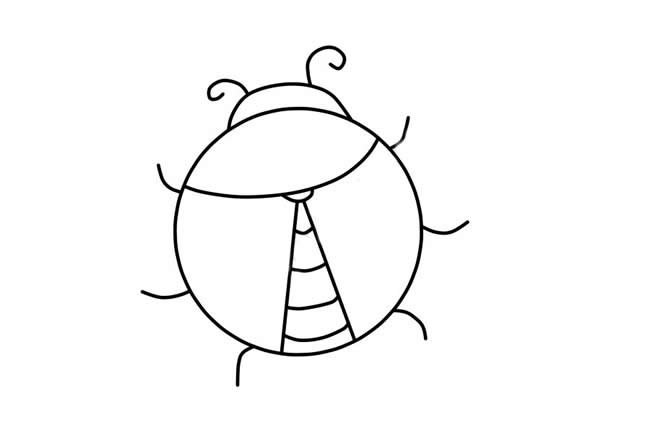 涂色的七星瓢虫简笔画