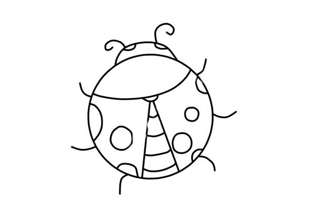 涂色的七星瓢虫简笔画
