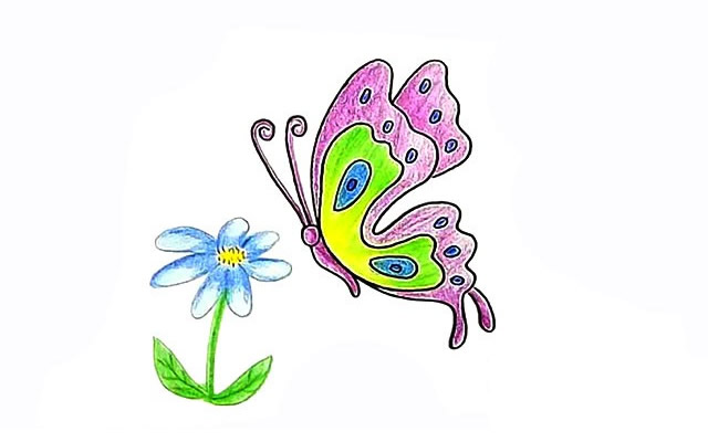 漂亮的蝴蝶和花朵简笔画