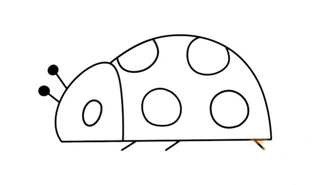 彩色的瓢虫简笔画