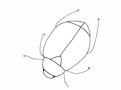 一组甲虫简笔画图片大全