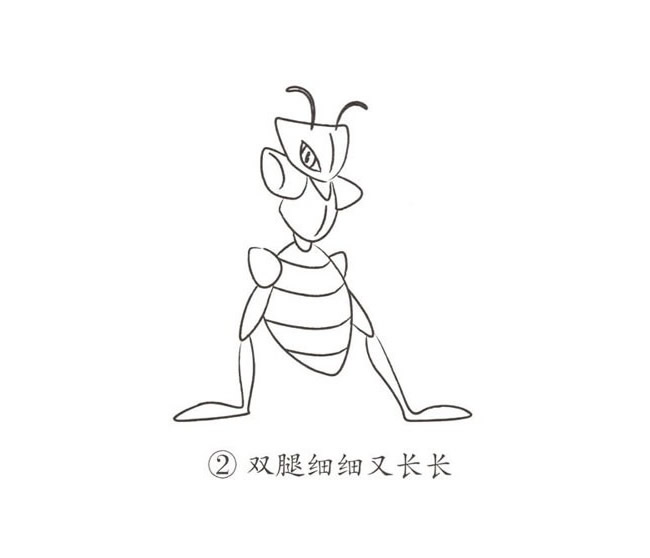 带颜色的卡通螳螂简笔画