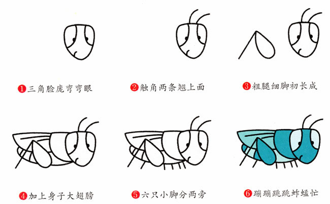 带颜色的蚱蜢简笔画教程