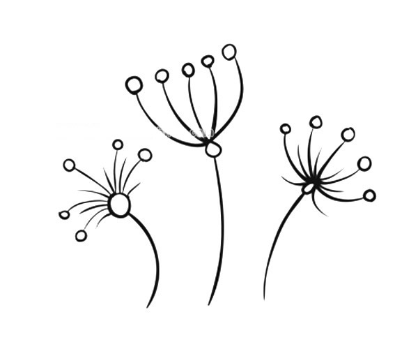 6款漂亮的小花简笔画