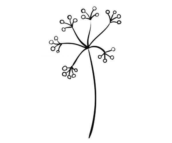 6款漂亮的小花简笔画