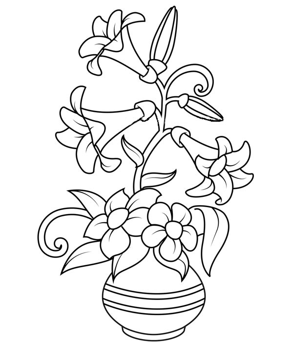 插在花屏里的百合花简笔画