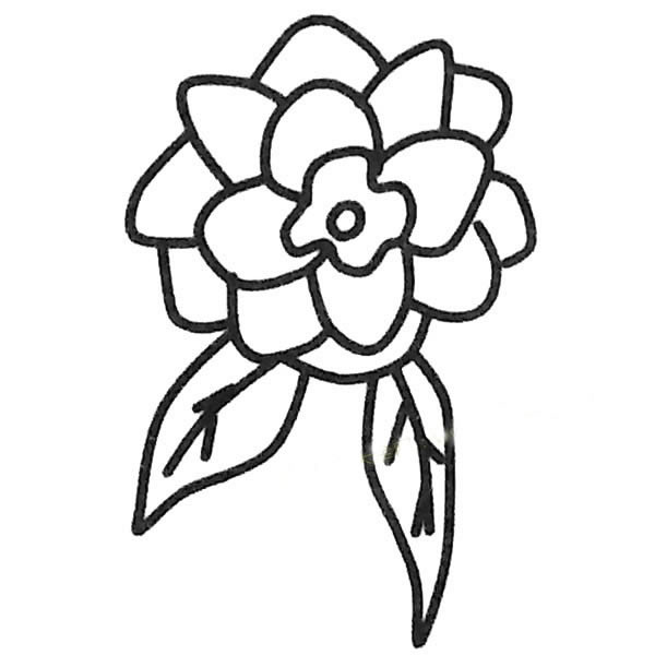 茶花儿童简笔画