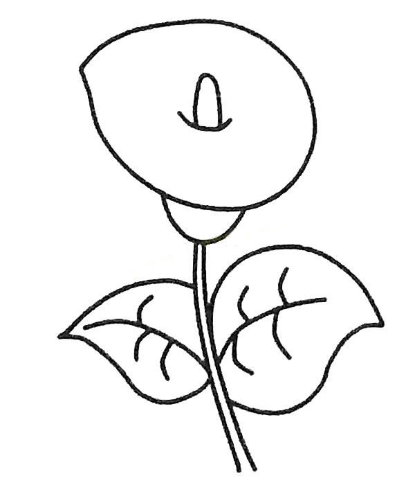 关于马蹄莲的儿童简笔画