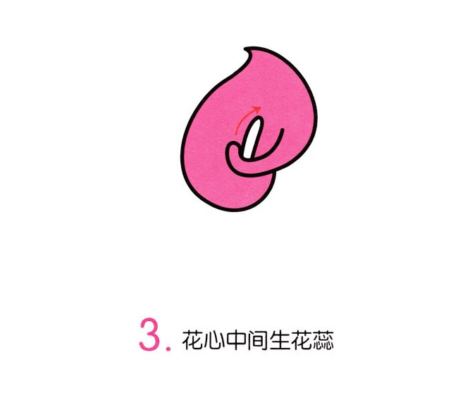涂色的马蹄莲简笔画教程