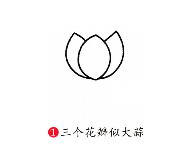 彩色的荷花简笔画教程