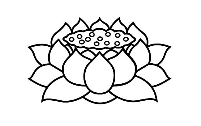 关于莲蓬花的简笔画