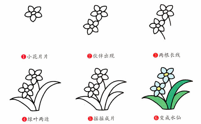 涂色的水仙花简笔画教程