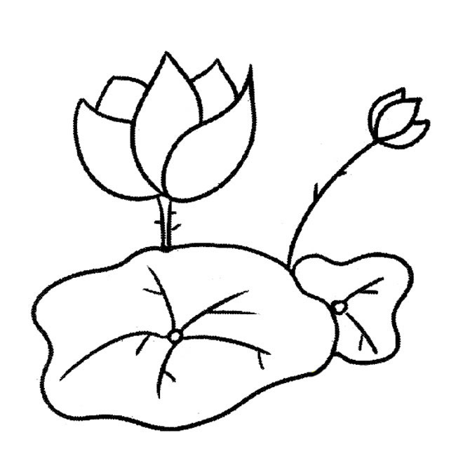 荷叶和荷花的简笔画