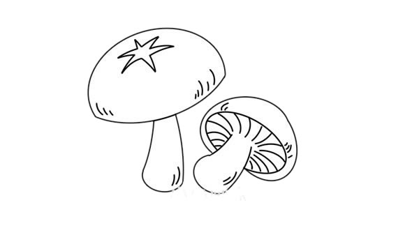 漂亮的香菇简笔画步骤