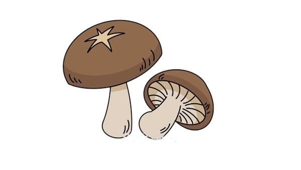 漂亮的香菇简笔画步骤