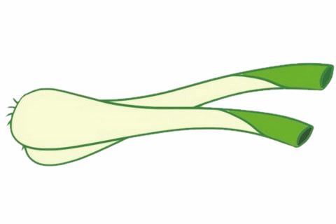 一根大葱儿童简笔画