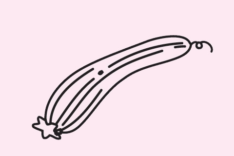 三张关于丝瓜的简笔画
