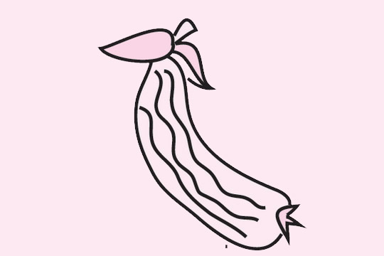 一看就会的丝瓜简笔画