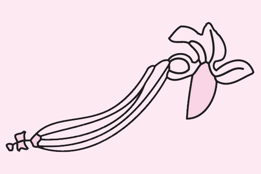 带花的丝瓜简笔画