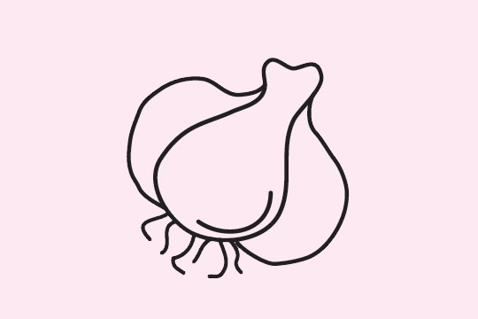 分享三种大蒜的简笔画