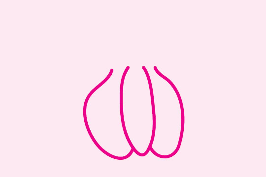 三步画出大蒜头
