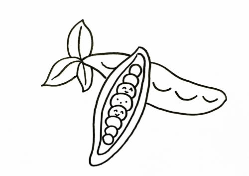 豌豆简笔画步骤教程