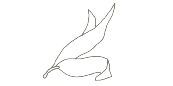 玉米简笔画的画法
