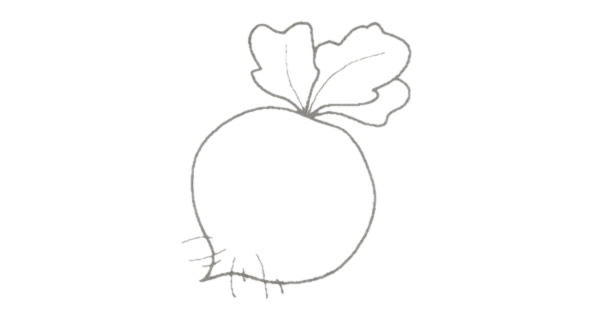 水萝卜简笔画的画法