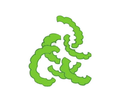 分享一组苦瓜简笔画