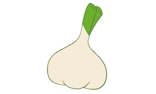 大蒜简笔画图片大全
