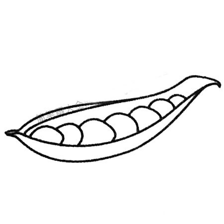 豌豆简笔画大全
