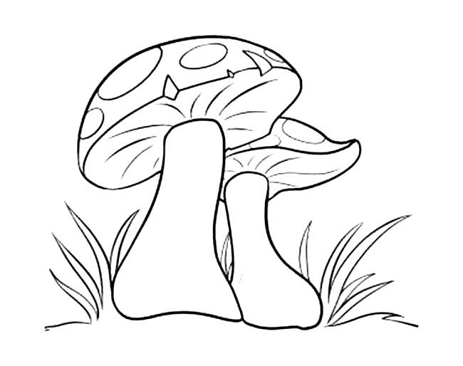 简单好看的蘑菇简笔画