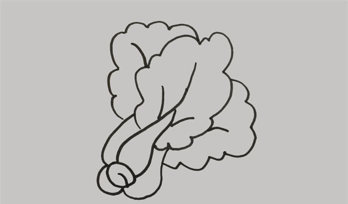 青菜怎么画