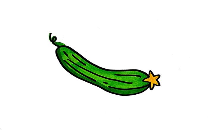 丝瓜的画法